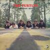 The Turtles - The Turtles Greatest Hits -  Preowned Vinyl Record