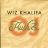 Wiz Khalifa - Kush & OJ -  Preowned Vinyl Record