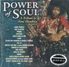 Various Artists - Power Of Soul: A Tribute To Jimi Hendrix -  Preowned Vinyl Record