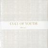 Cult Of Youth - Cult Of Youth -  Preowned Vinyl Record