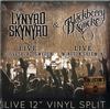Lynyrd Skynyrd & Blackberry Smoke - Live 12
