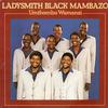 Ladysmith Black Mambazo - Umthombo Wamanzi -  Preowned Vinyl Record