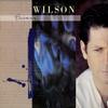 Brian Wilson - Brian Wilson -  Preowned Vinyl Record