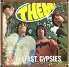 Them - Belfast Gypsies -  Preowned Vinyl Record