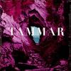 Tammar - Visits -  Preowned Vinyl Record