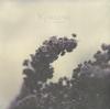 Nebelung - Palingenesis -  Preowned Vinyl Record