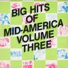 Various Artists - Big Hits Of Mid-America Volume Three -  Preowned Vinyl Record