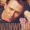 Steve Winwood - Roll With It -  Preowned Vinyl Record