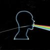 Vocomotion - Dark Side Of The Moon A Cappella -  Preowned Vinyl Record
