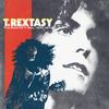 T.Rex - T. Rextasy - The Best of T. Rex 1970-1973 -  Preowned Vinyl Record