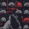 Various Artists - Live At The Rat -  Preowned Vinyl Record