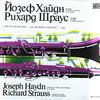 Kasmetski, Vladigerov, Bulgarian National Radio Symphony Orchestra - Haydn, Strauss: Oboe Concertos -  Preowned Vinyl Record