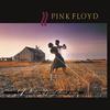 Pink Floyd - A Collection Of Great Dance Songs -  Vinyl LP with Damaged Cover