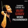 Valery Gergiev - Tchaikovsky: Symphony No. 5 -  Vinyl LP with Damaged Cover