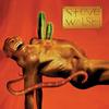 Steve Walsh - Glossolalia -  Vinyl LP with Damaged Cover