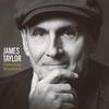 James Taylor - American Standard -  Vinyl LP with Damaged Cover