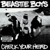 Beastie Boys - Check Your Head -  Vinyl LP with Damaged Cover