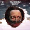 Thundercat - Drunk -  Vinyl LP with Damaged Cover