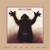 John Lee Hooker - The Healer -  45 RPM Vinyl Record