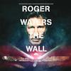 Roger Waters - Roger Waters The Wall -  180 Gram Vinyl Record