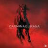 Sir Simon Rattle - Orff: Carmina Burana -  Vinyl Record