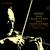 Jascha Heifetz, Sir Malcolm Sargent, New Symphony Orchestra of London - Bruch: Concerto In G Minor / Mozart: Concerto In D Major