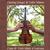 Courtney Granger & Cedric Watson - Cajun & Creole Music Of Louisiana