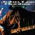 John Lee Hooker - Boom Boom