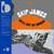 Skip James - Devil Got My Woman