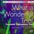 Tsuyoshi Yamamoto Trio - What a Wonderful Trio!