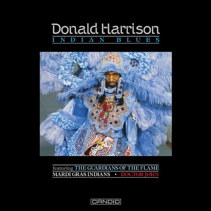 Donald Harrison - Indian Blues