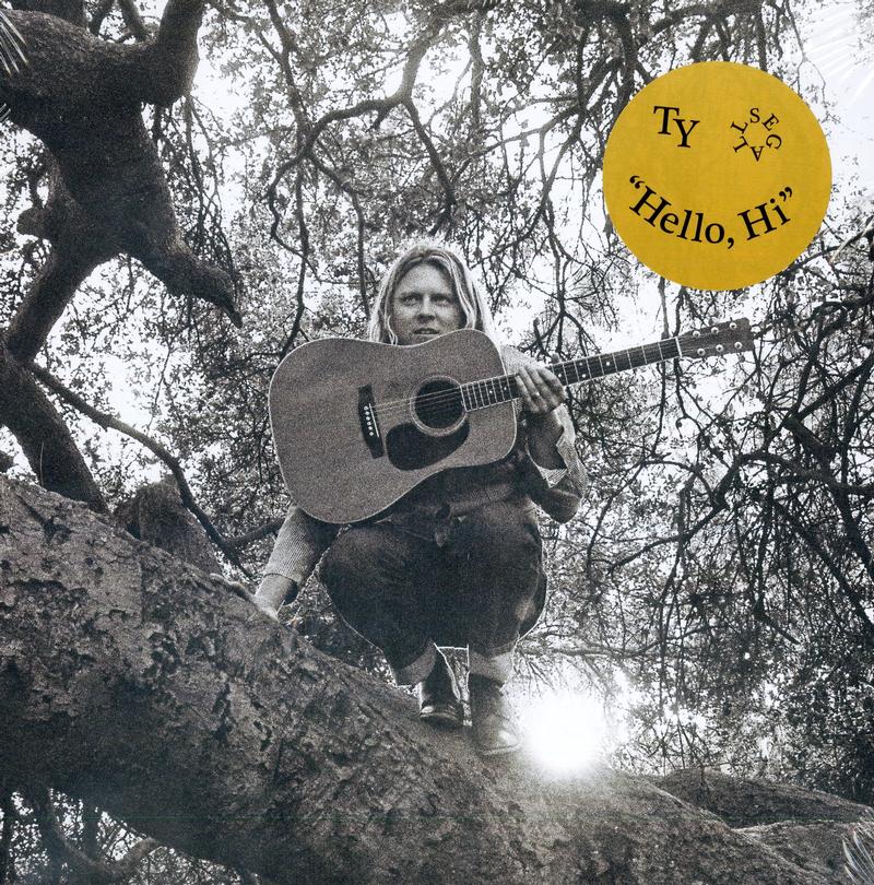 Ty Segall - "Hello, Hi"