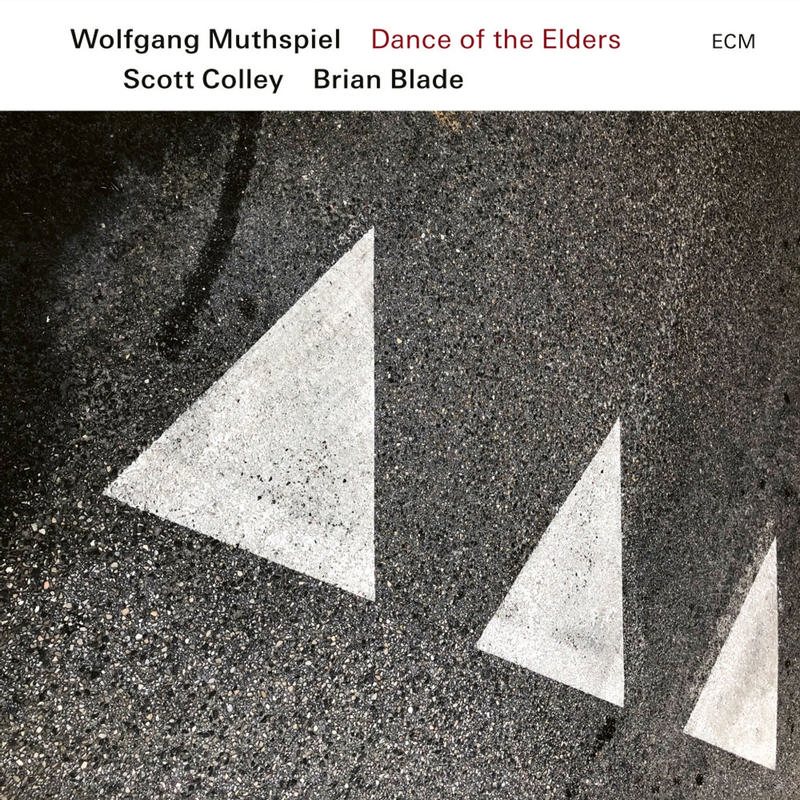 Wolfgang Muthspiel , Scott Colley / Brian Blade - Dance Of The Elders