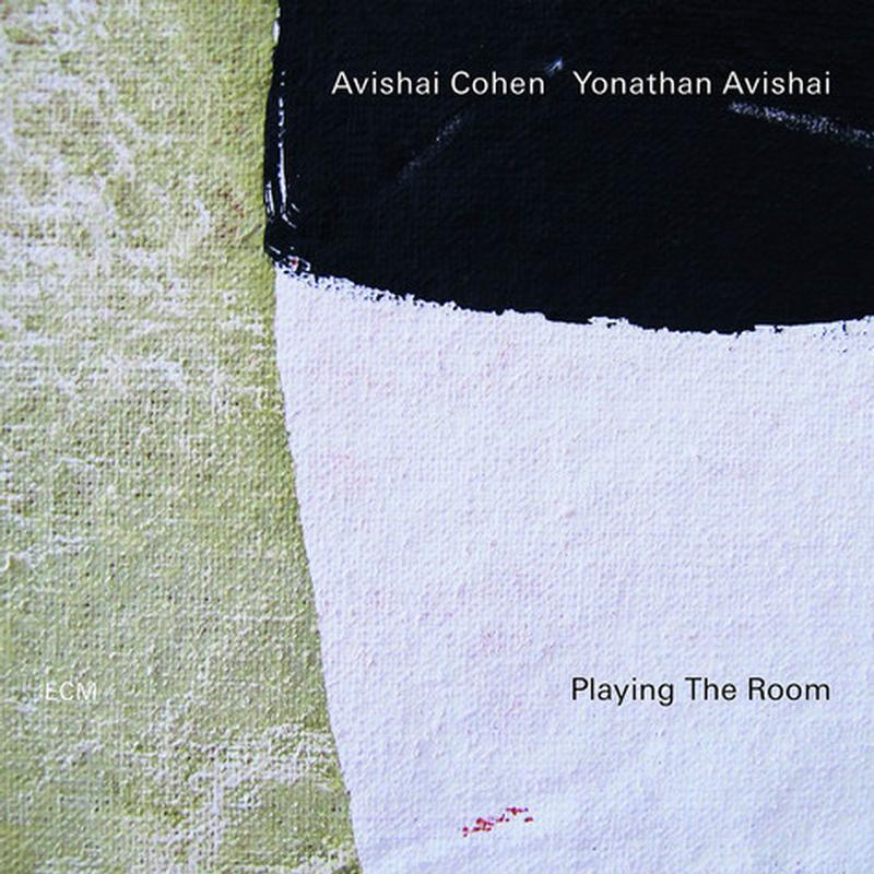 Avishai E. Cohen / Yonathan Avishai - Playing The Room