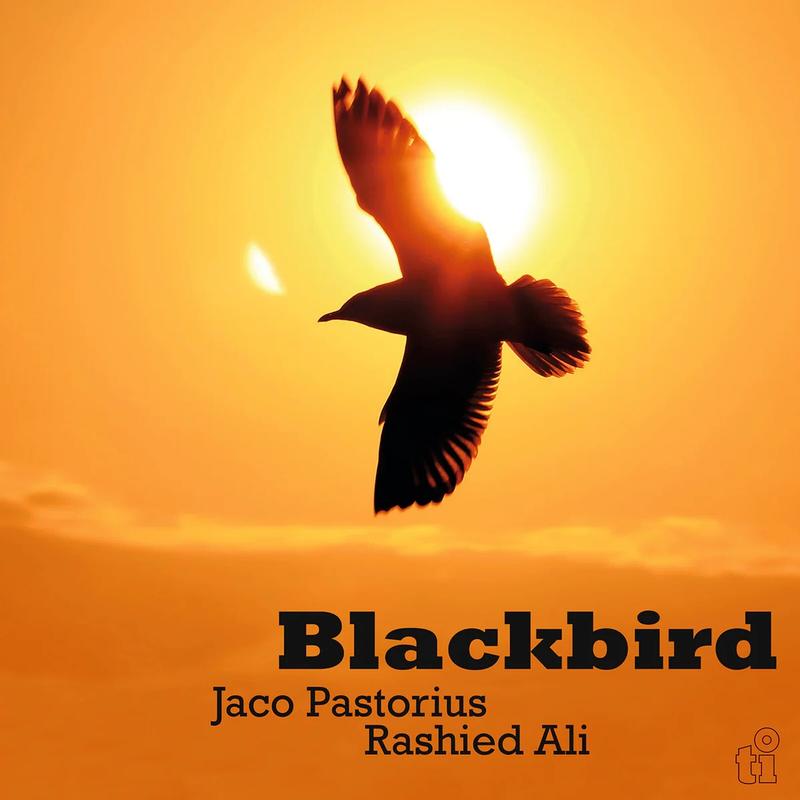 Jaco Pastorius & Rashied Ali - Blackbird