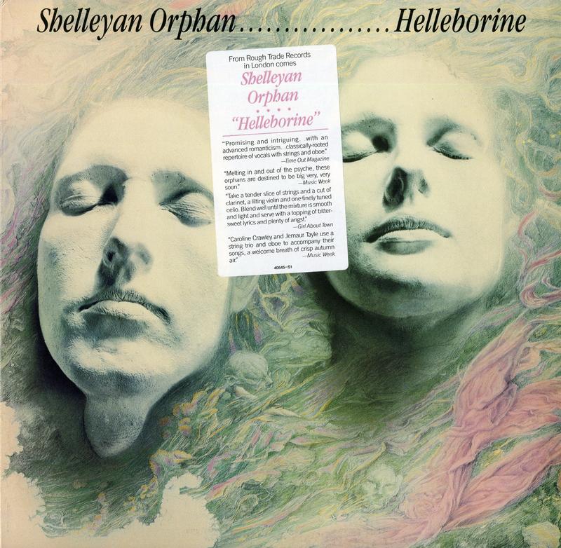 Shelleyan Orphan - Helleborine