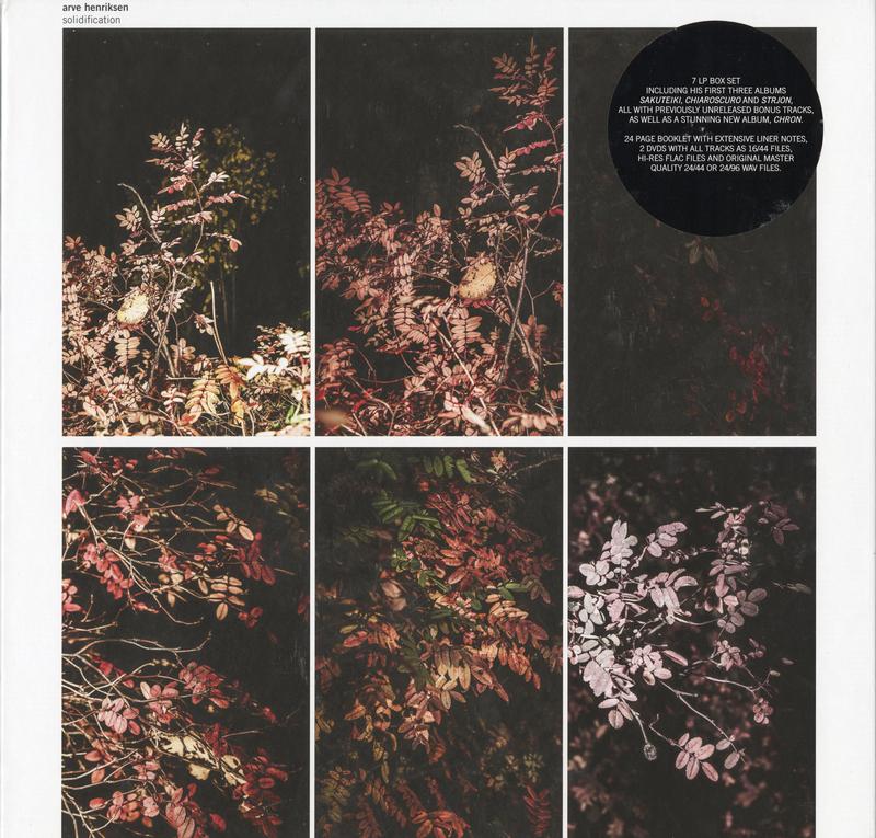 Arve Henriksen - Solidification