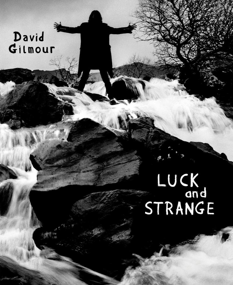 David Gilmour - Luck And Strange