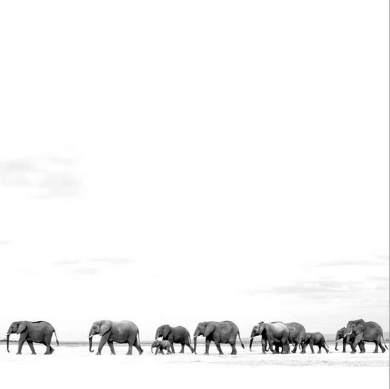 Dave Matthews Band - Where Are You Going: The Singles